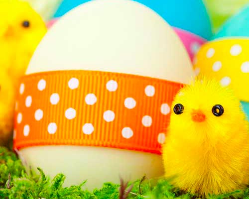 Pasqua a Rimini